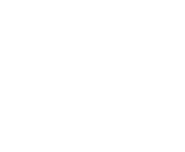 Cam Lock Chain Tool